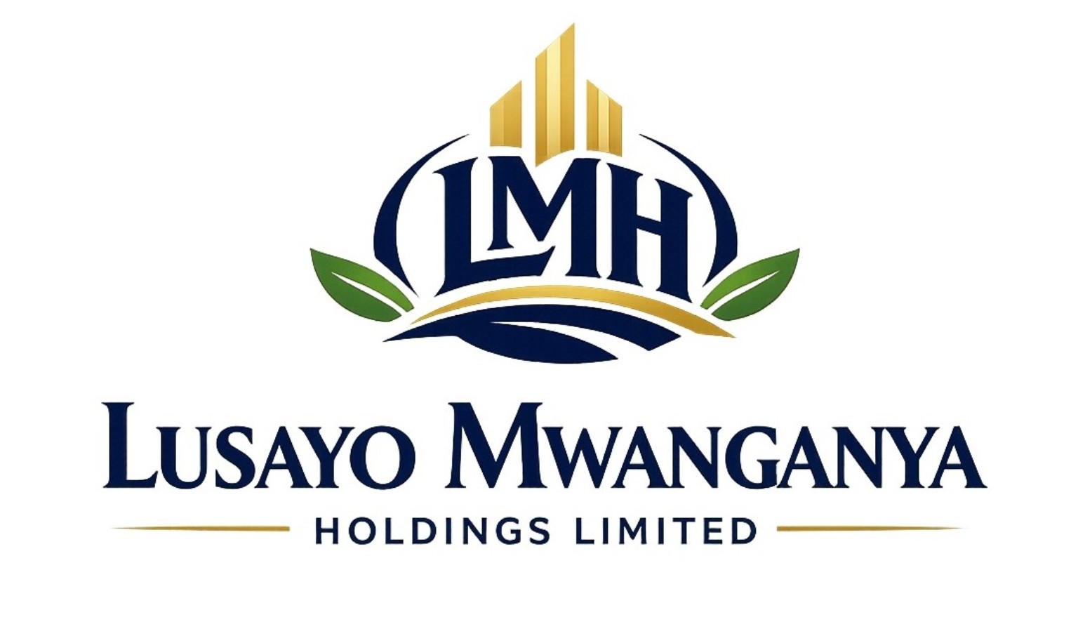 Lusayo Mwanganya Holdings Limited logo